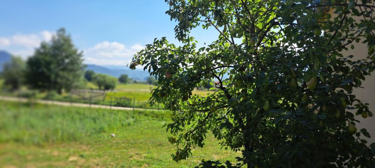 Topla Porodicna Kuca Appartement Berane Buitenkant foto