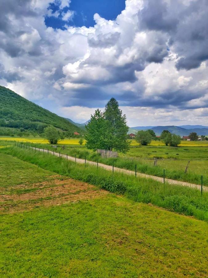 Topla Porodicna Kuca Appartement Berane Buitenkant foto